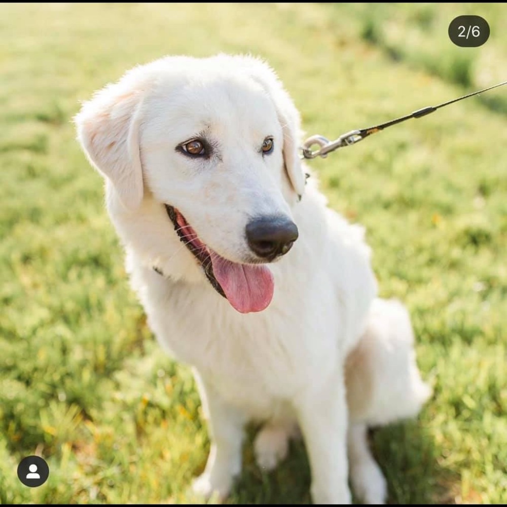 Meet your Posher, Lydia